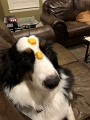 Zoey-StayNo_11-2020 (1)
